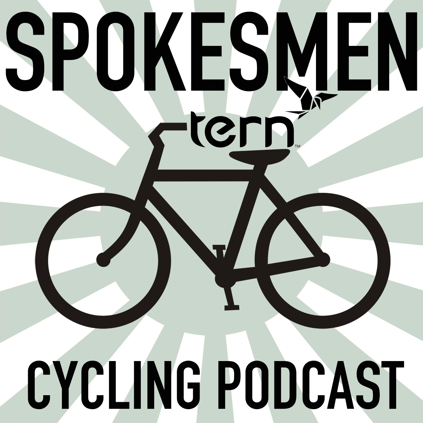 EPISODE 344: Computer Modelling of How Cyclists (And Motorists) Hit Potholes
